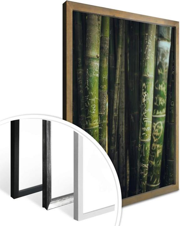Produktbild Trenddeko Grüner Bambus (60 x 80 cm)