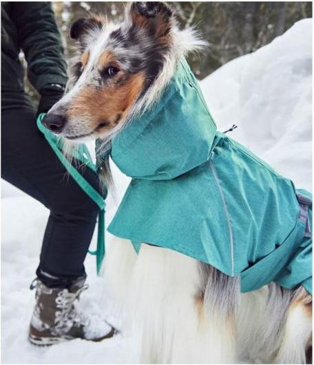 Actual product image Hurtta Monsoon V2 Eco green mackintosh, 60 cm (60, Dog raincoat)