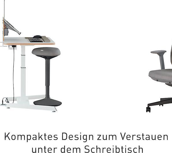 Immagine prodotto Leitz Ergo Active
