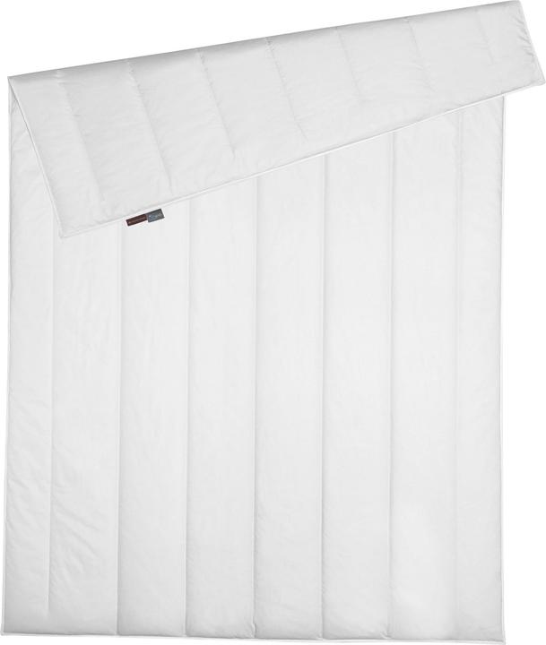 Produktbild Centa-Star Famous (800 g, 155 x 220 cm)