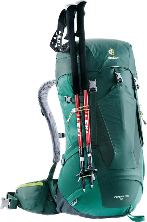 Actual product image Deuter futura pro (36 l)