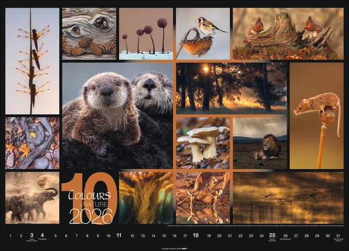 Produktbild Colours of Nature Kalender 2026 (68 x 49 cm, Harter Einband, Deutsch)