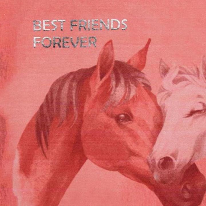 Actual product image Bondi T-shirt Best Friends (104)