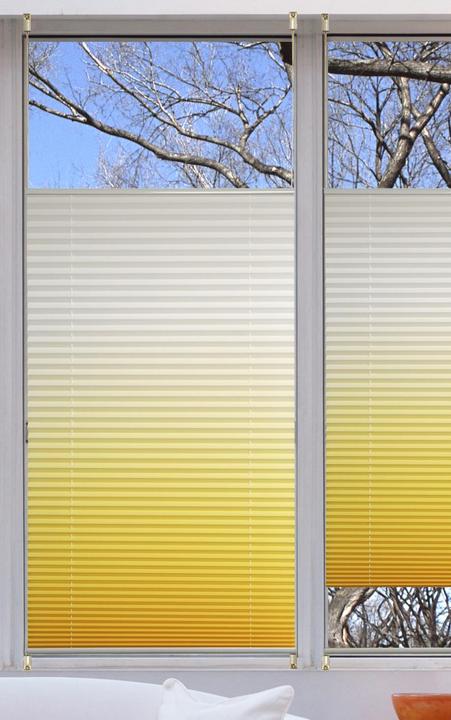 Sun & Shadow Plissee (40 x 130 cm)