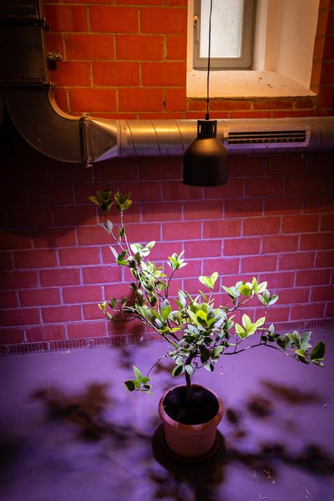 Immagine prodotto Venso Saga (LED, 230 V)
