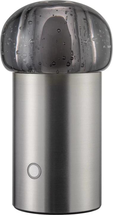 Blomus Dispositivo mobile a LED IRIS per interni ed esterni grigio metallizzato (115 lm)