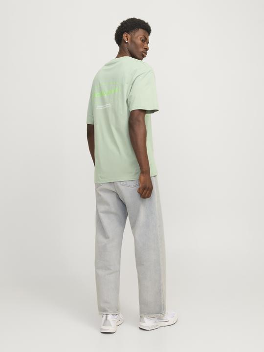 Actual product image Jack & Jones Jjebradley Graphic Tee Ss O-Neck Noos (L)