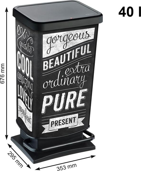 Actual product image Rotho Pedal bin 40 l PASO (40 l)