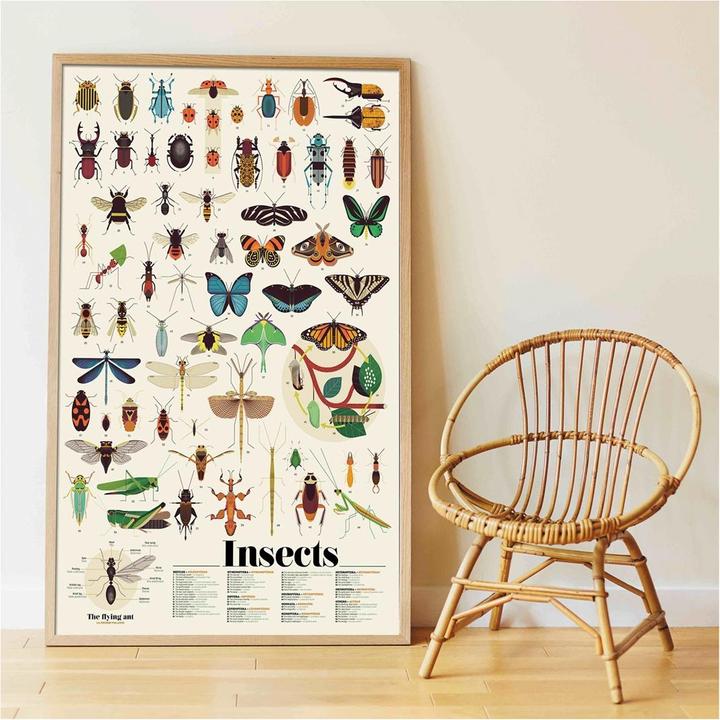 Image du produit Poppik Autocollants Poster éducatif Insectes
