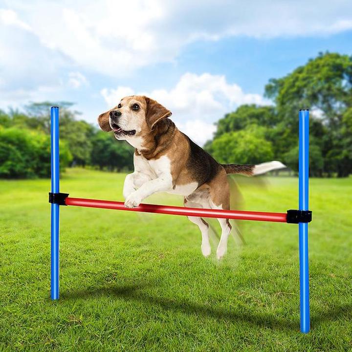 Produktbild Pet Toys Dog Obstacle Pole Set (Agility)