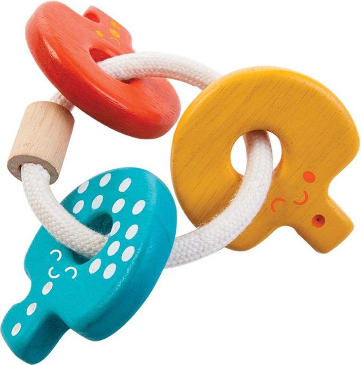 Actual product image Plantoys Baby key