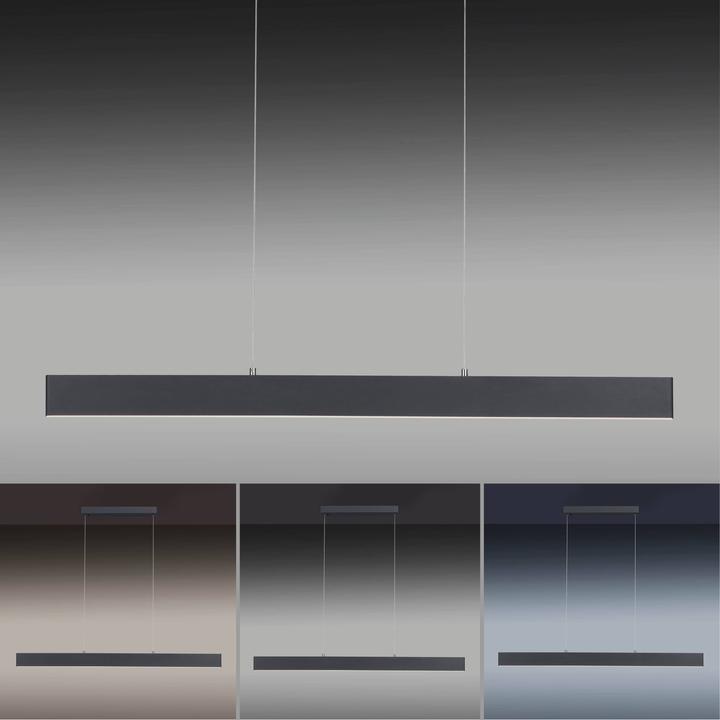 Produktbild Paul Neuhaus LED-Pendelleuchte 2548-13 anthrazit, 34 W, 4080 lm (4080 lm)