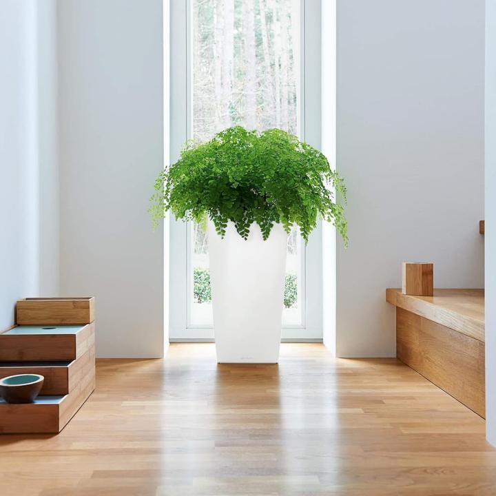 Actual product image Lechuza Cubico (22 cm)