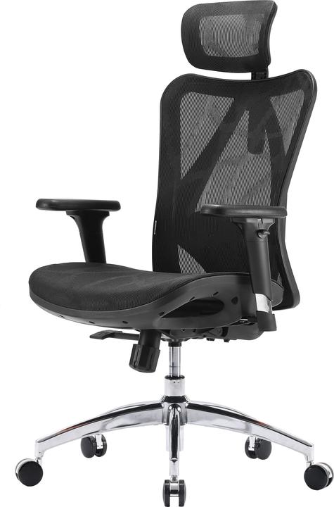 Actual product image Sihoo M57-M015