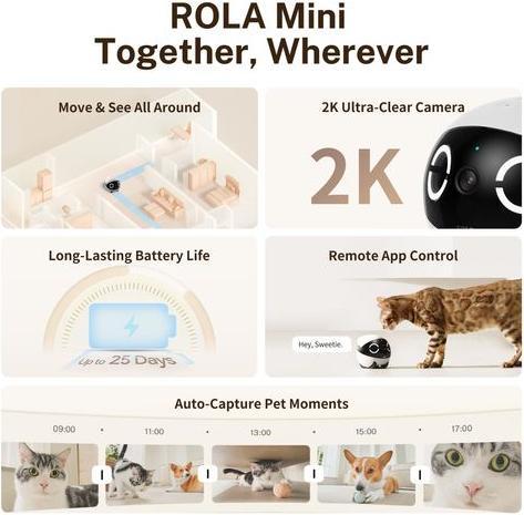 Produktbild Enabot Rola Mini Companion Robot (2304 x 1296 Pixels)