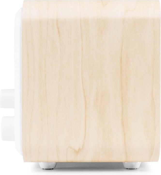 Image du produit Audizio Radio WiFi Vicenza (Webradio, DAB+ DAB, FM, Bluetooth, WiFi)