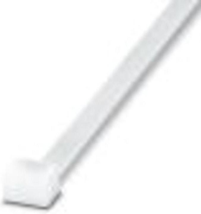 Immagine prodotto Phoenix Contact Fascetta (Fascette in plastica, 540 mm, 100 pz.)