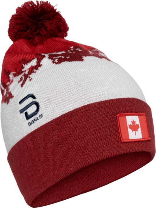 Produktbild Daehlie Hat Champion