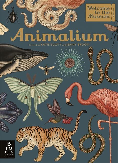 Produktbild Animalium (Englisch, Jenny Broom, Katie Scott, 2014)