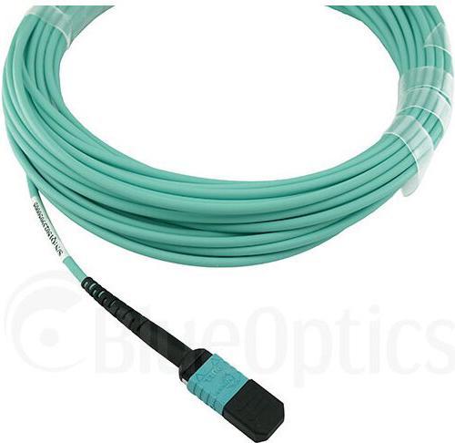 Actual product image BlueOptics Telesis AT-MTP12-7 compatible MTP-MTP OM3 patch cable 7.5 metres