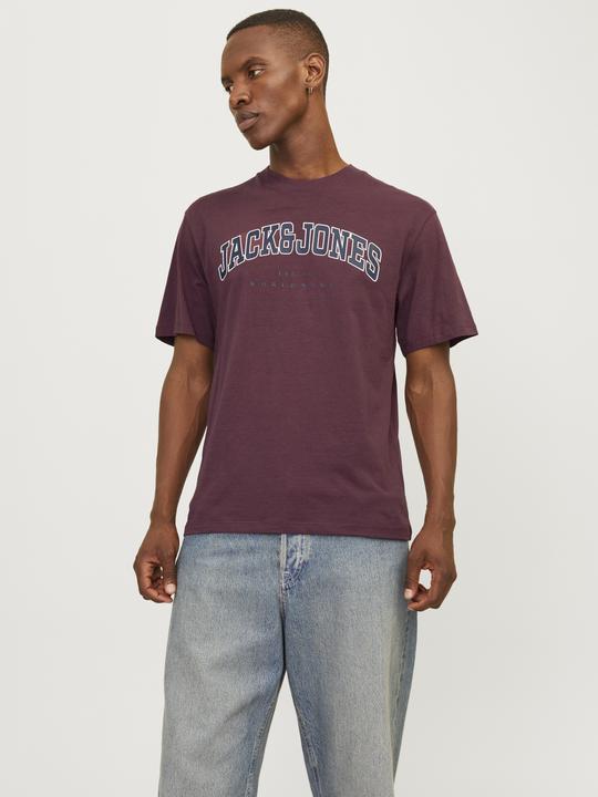 Immagine prodotto Jack & Jones Jjecaleb Varsity Tee Ss O-Neck Noos (S)
