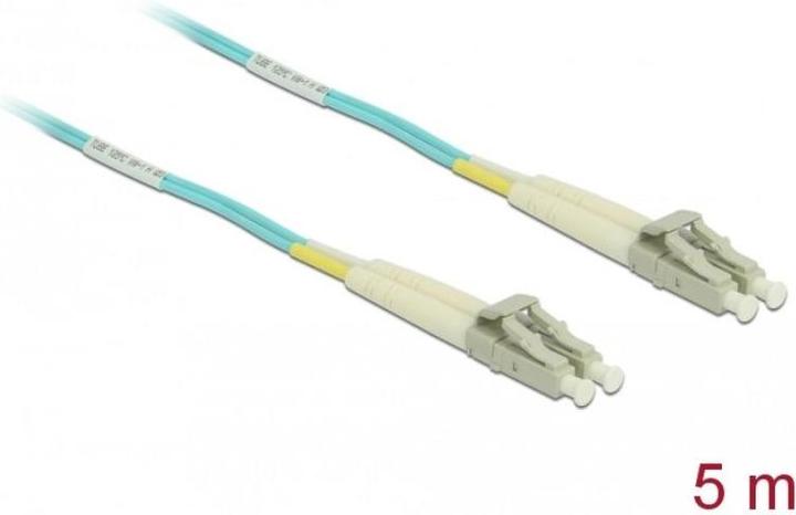 Image du produit Delock Câble de réseau (CAT6, 5 m)