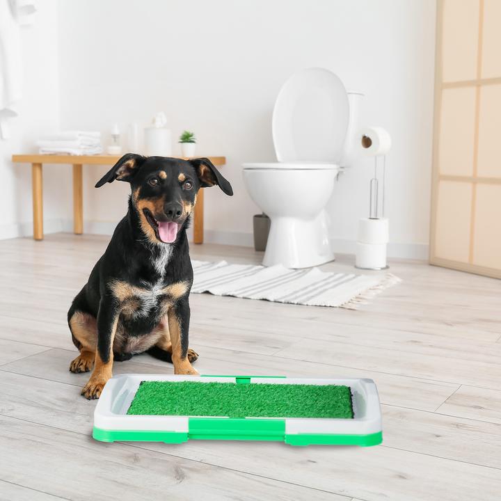 Actual product image Relaxdays Dog toilet (Dog)