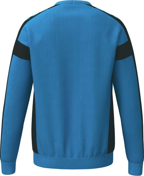 Actual product image Erima CMPT 3 Wings Sweatshirt GK (S)