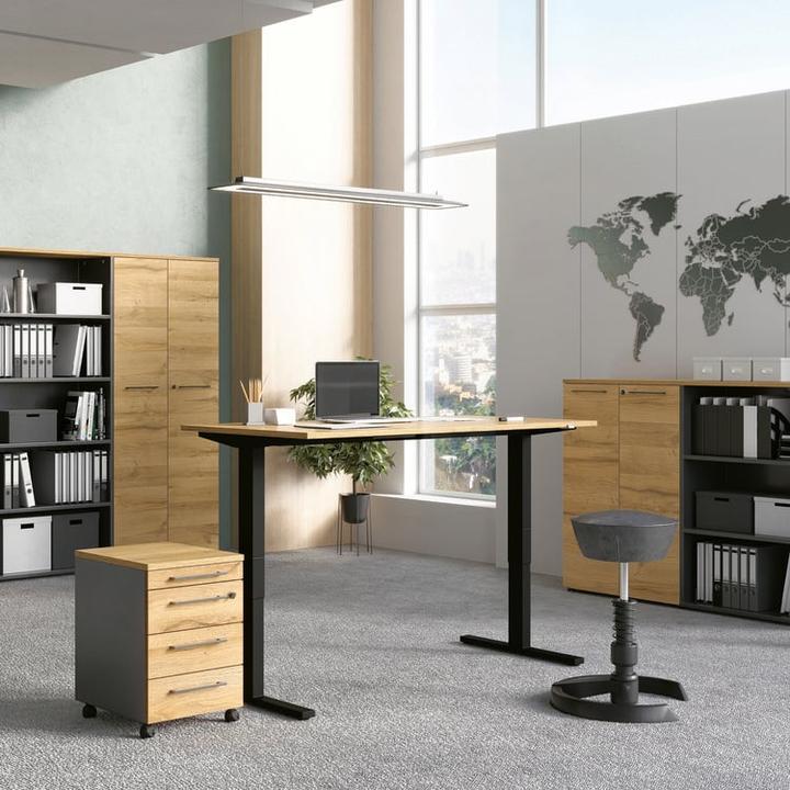 Actual product image Germania Agenda (80 x 120 x 40 cm)