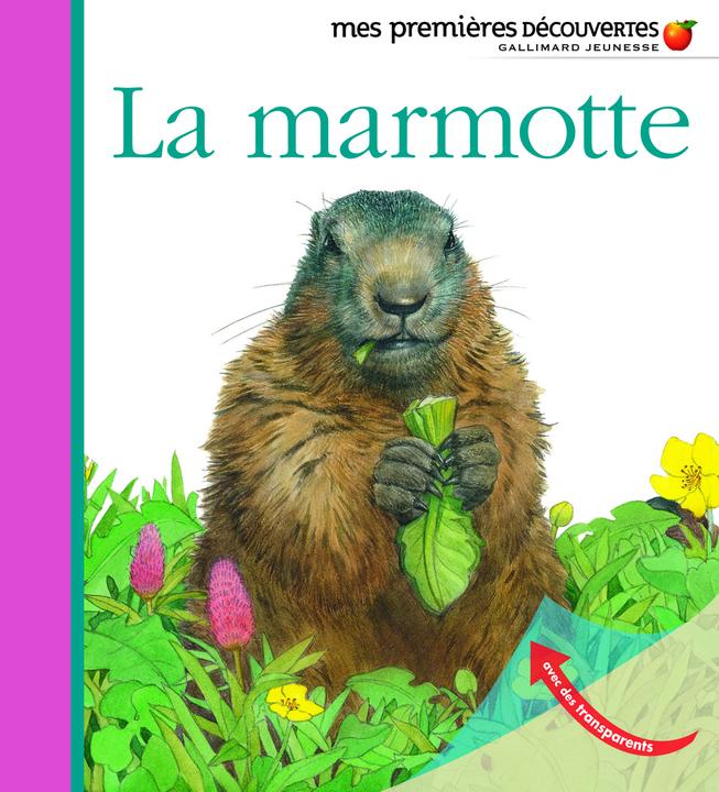 Produktbild La marmotte (Französisch, Peyrols Sylvaine, 2010)