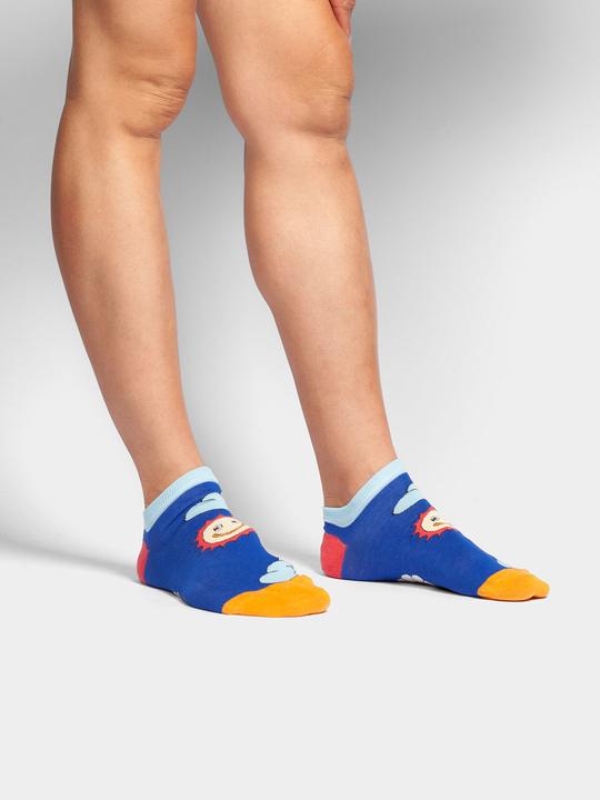 DillySocks Short Weather Forecast (36 - 40)