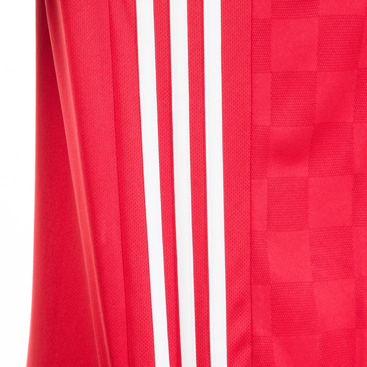 Actual product image adidas Egypt Shirt Home World Cup 2018 Men (XL)
