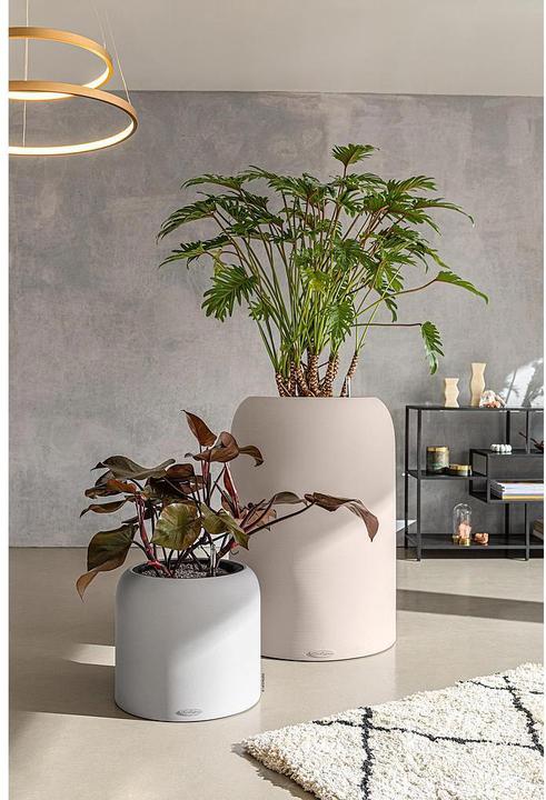Produktbild Lechuza Pflanzentopf HAVALO 60 Hellgrau (40.80 cm)