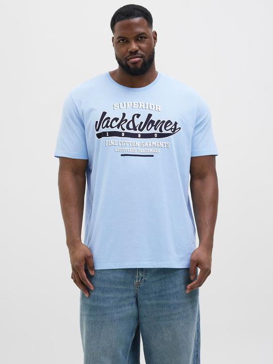 Actual product image Jack & Jones Jjelogo Tee Ss O-Neck 2 Col Aw24 S Pls (4XL)