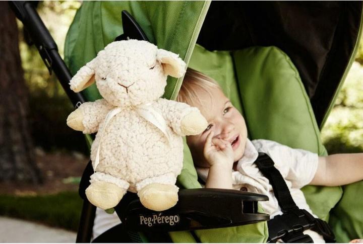 Image du produit Cloud B Sleep Sheep on the go (CB7302-ZZ)