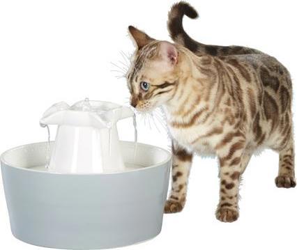Image du produit AniOne Débit (3 l)