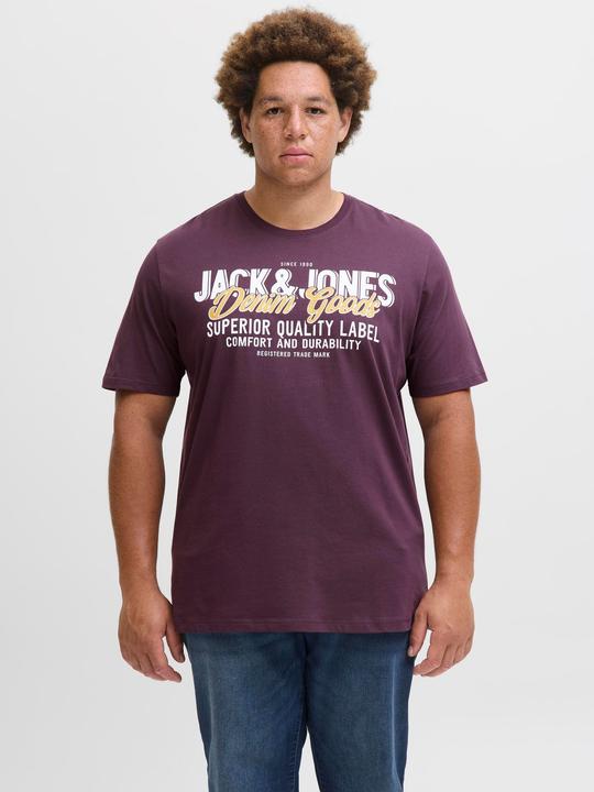 Actual product image Jack & Jones Jjelogo Tee Ss Oneck 2 Col Aw25 Noos Pls (4XL)