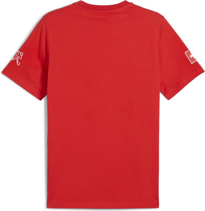 Actual product image Puma SFV FtblCulture Tea (XL)