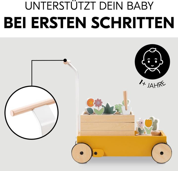 Produktbild Hauck Learn to Walk Plants