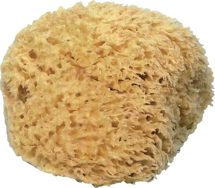 Actual product image NoName Blackboard sponge classic