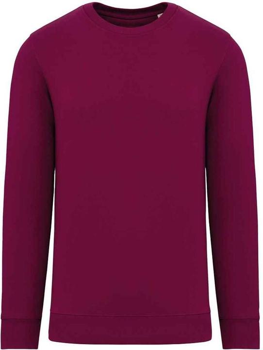 Native Spirit Sweatshirt Rundhalsausschnitt