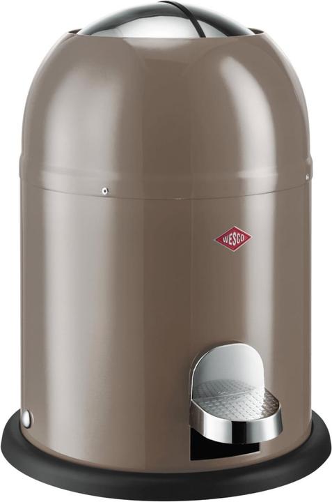 Actual product image Wesco single master (9 l)