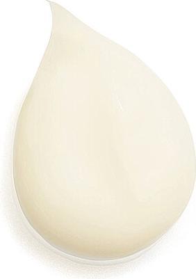 Actual product image Sisley Emulsion Ecologique (125 ml)