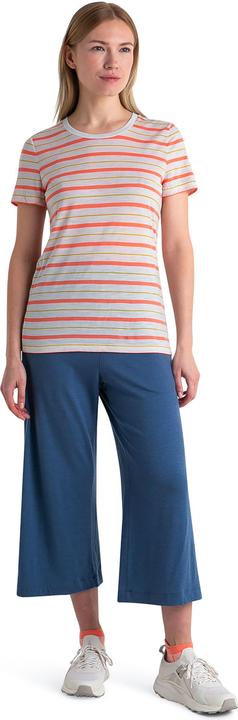 Actual product image Icebreaker Women Merino Wave SS Tee Stripe (M)