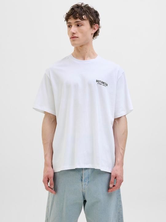 Actual product image Jack & Jones Jorbotaniq Tee Ss Crew Neck Tg Ln (XL)