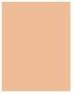 Actual product image Dior Forever No Transfer 24H Foundation (3WP Warm Peach)