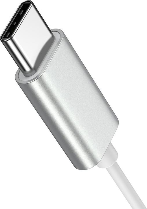 Actual product image Joyroom JR-EC06 TYPE-C Series In-Ear Metal Wired Earbuds-Silver (Cable)