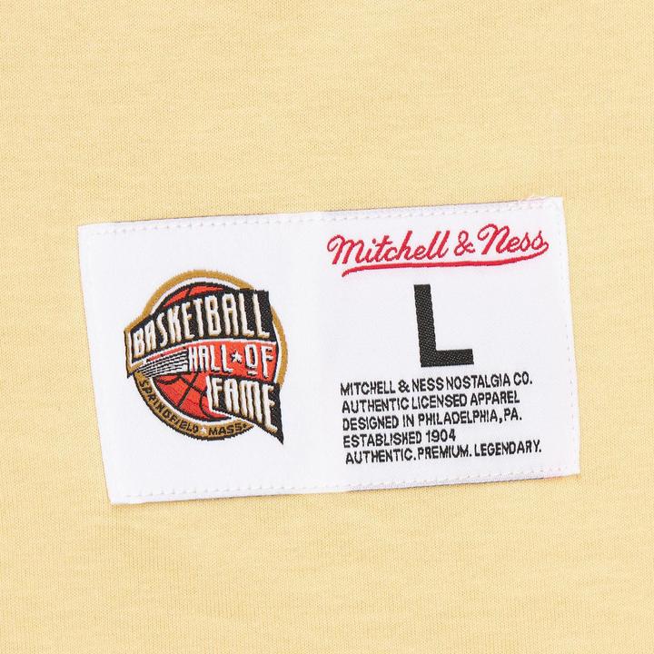 Actual product image Mitchell & Ness Vince Carter HALL OF FAME Premium Shirt cream - L (L)