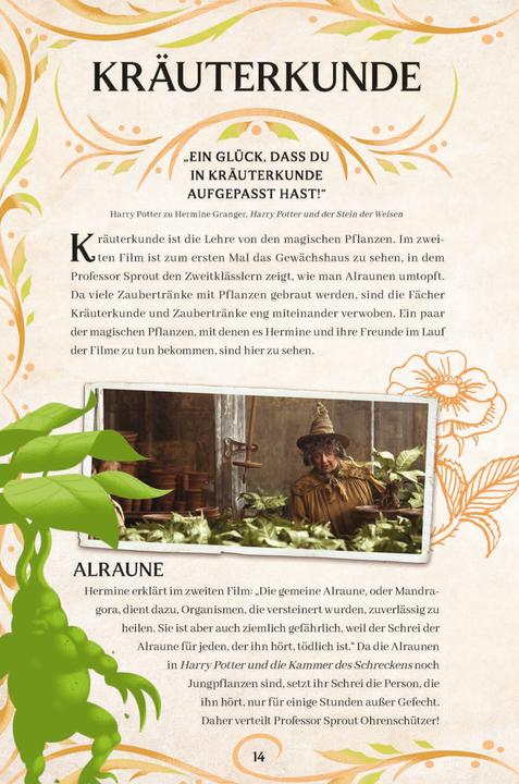 Actual product image Panini Aus den Filmen zu Harry Potter: Zaubersprüche & Zaubertränke (German, Cala Spinner, 2024)