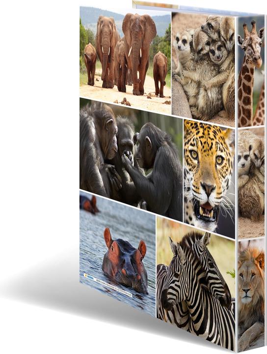 Actual product image HERMA A4 ring binder motif (A4, 35 mm, 1 Piece)